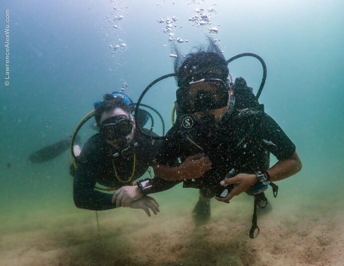 120193582_10158931623418055_4608425217967775536_o