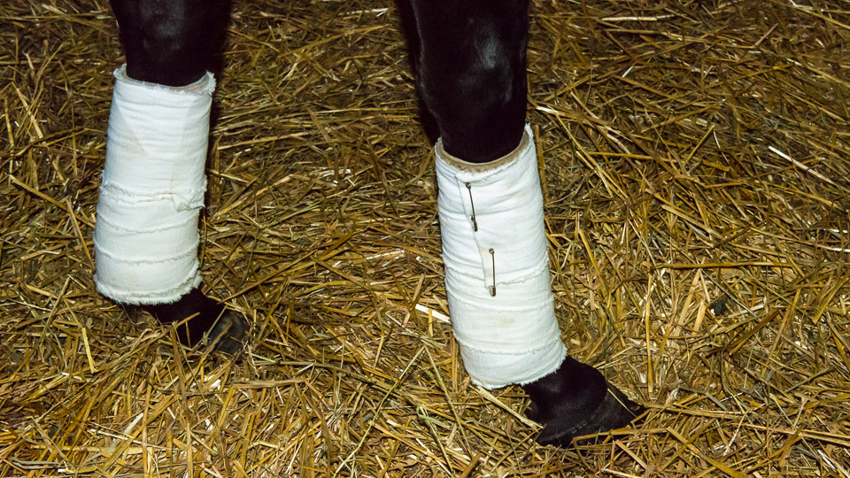 Bandaging Non-wounds