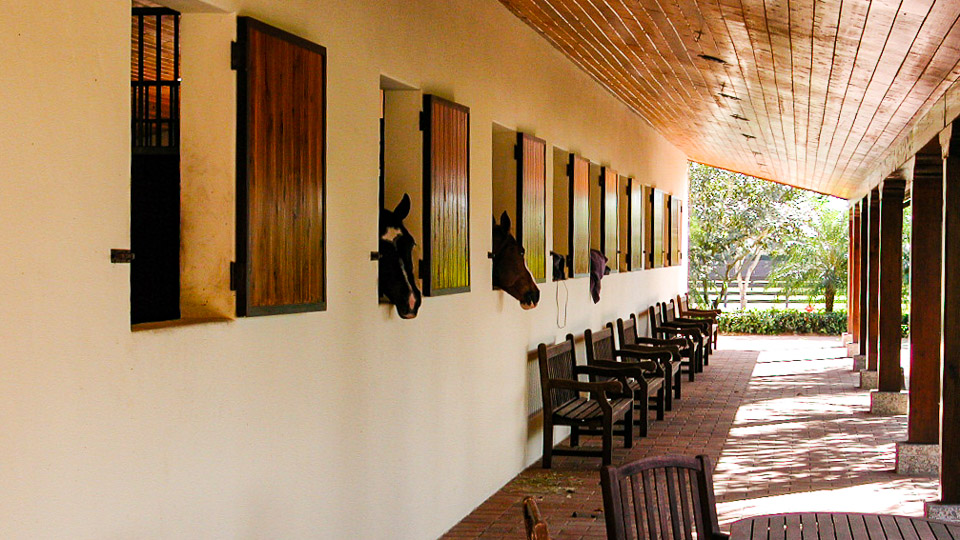 Barn Interiors