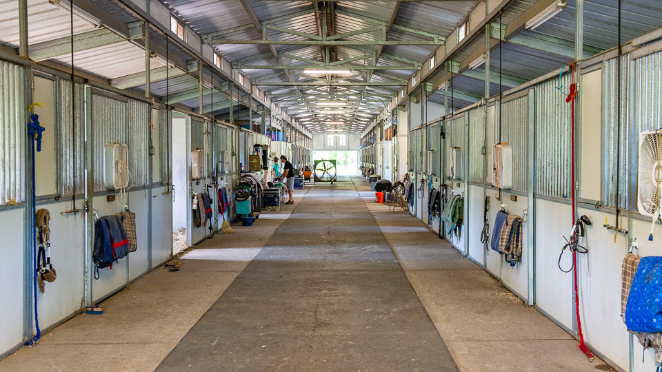 Stall Views And Interiors Of Barns