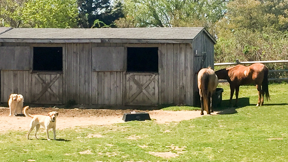 Barn exteriors