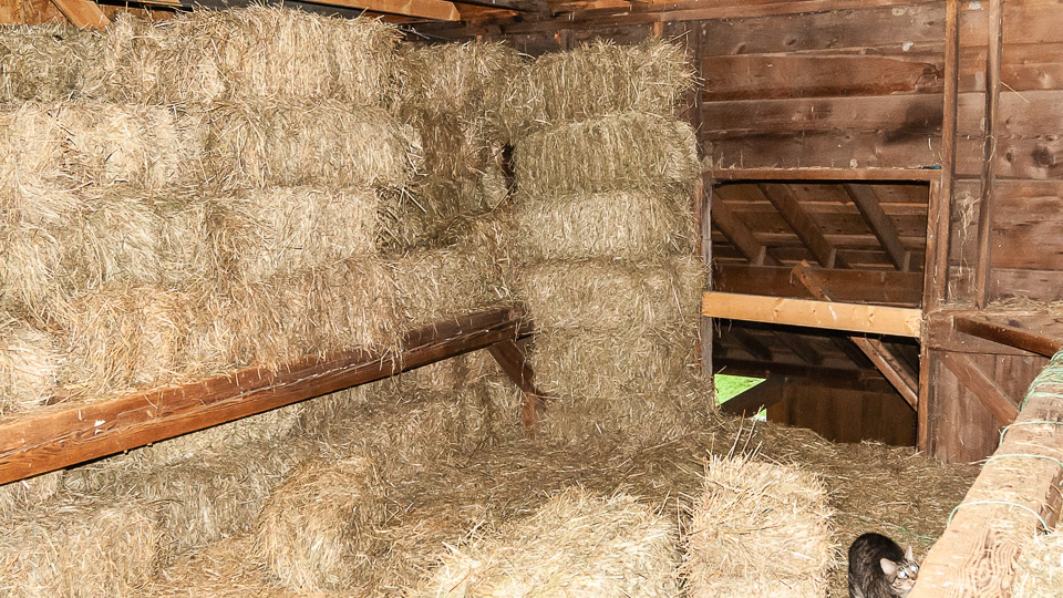 Barn Loft Storage