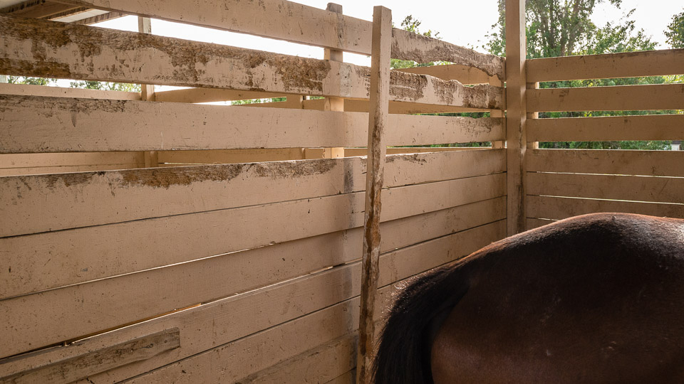 Dangerous Things Around Horses