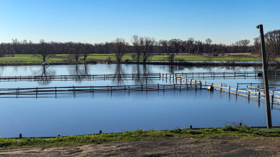 Pasture Flooding