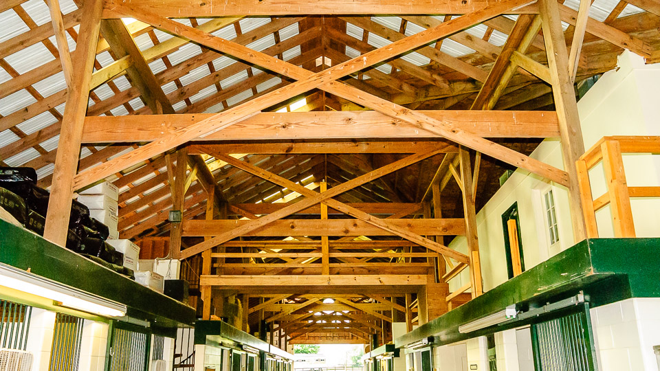 Roof Structure Details