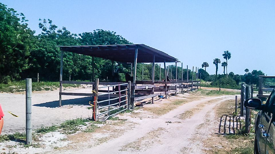 Sheds and turnouts