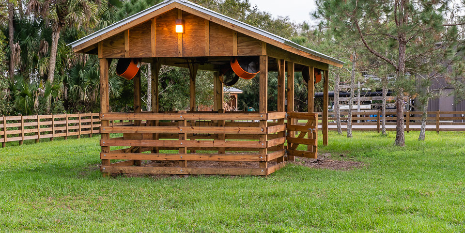 Sheds And Condo Stalls