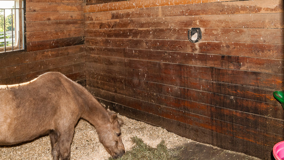 Stall Walls