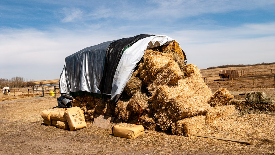 Straw bedding