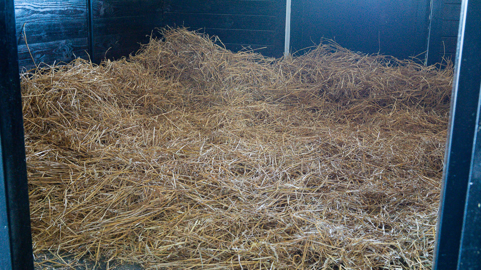 Bedding – Straw