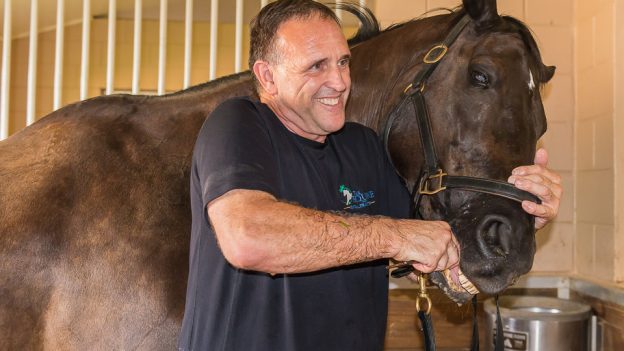 *3 – Horse Dentistry – Videos Of Floating Horses Using Horsemanship (blog)